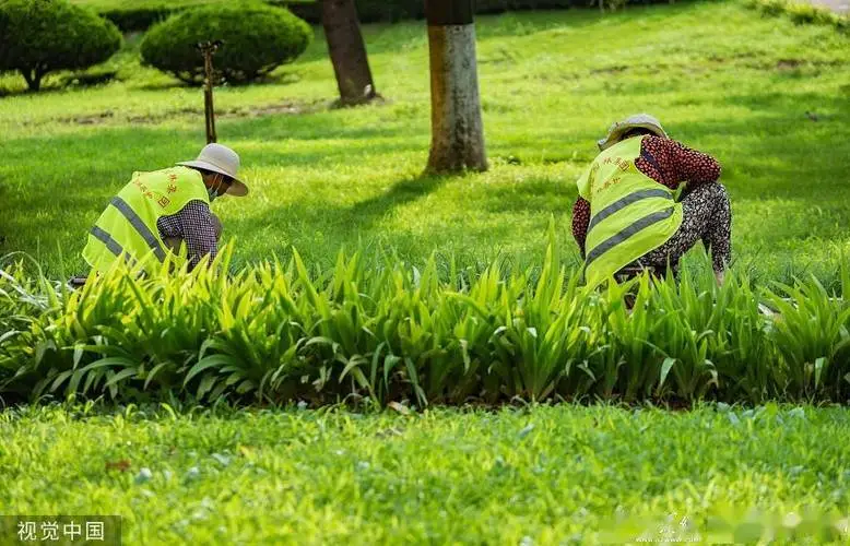 公园湖泊园林景观设计施工